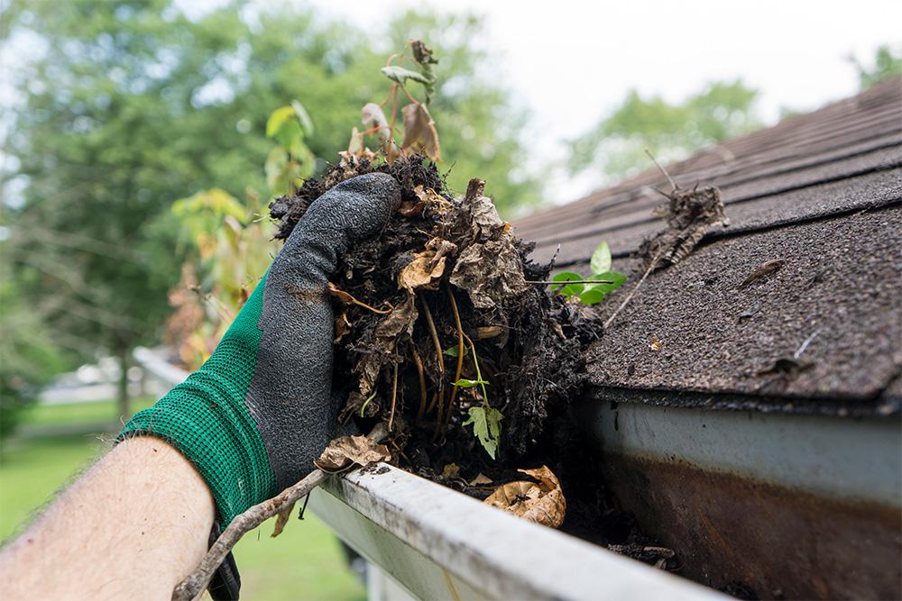 Cleaning Gutters